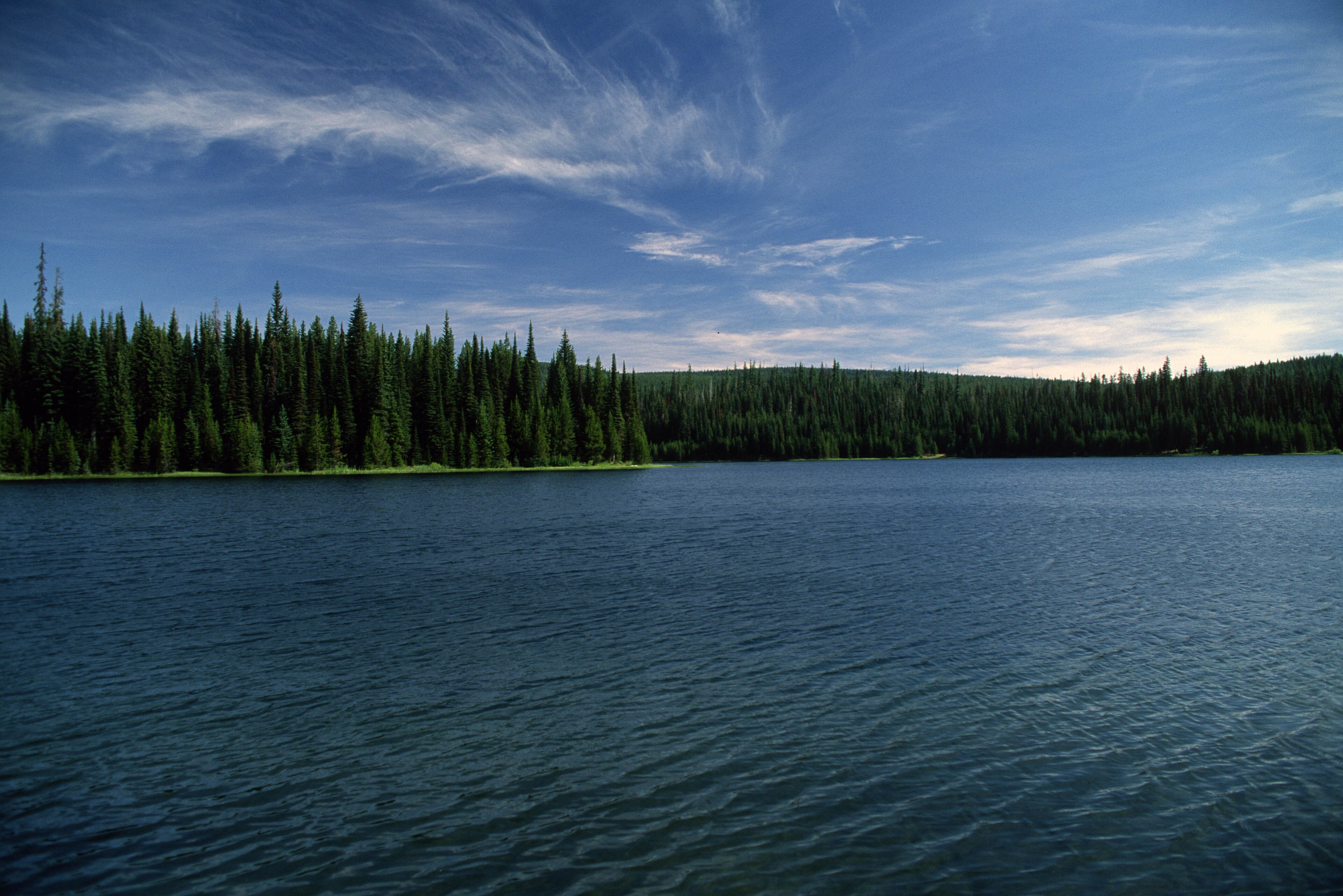 Jubilee Lake surrounded by the forest in Oregon