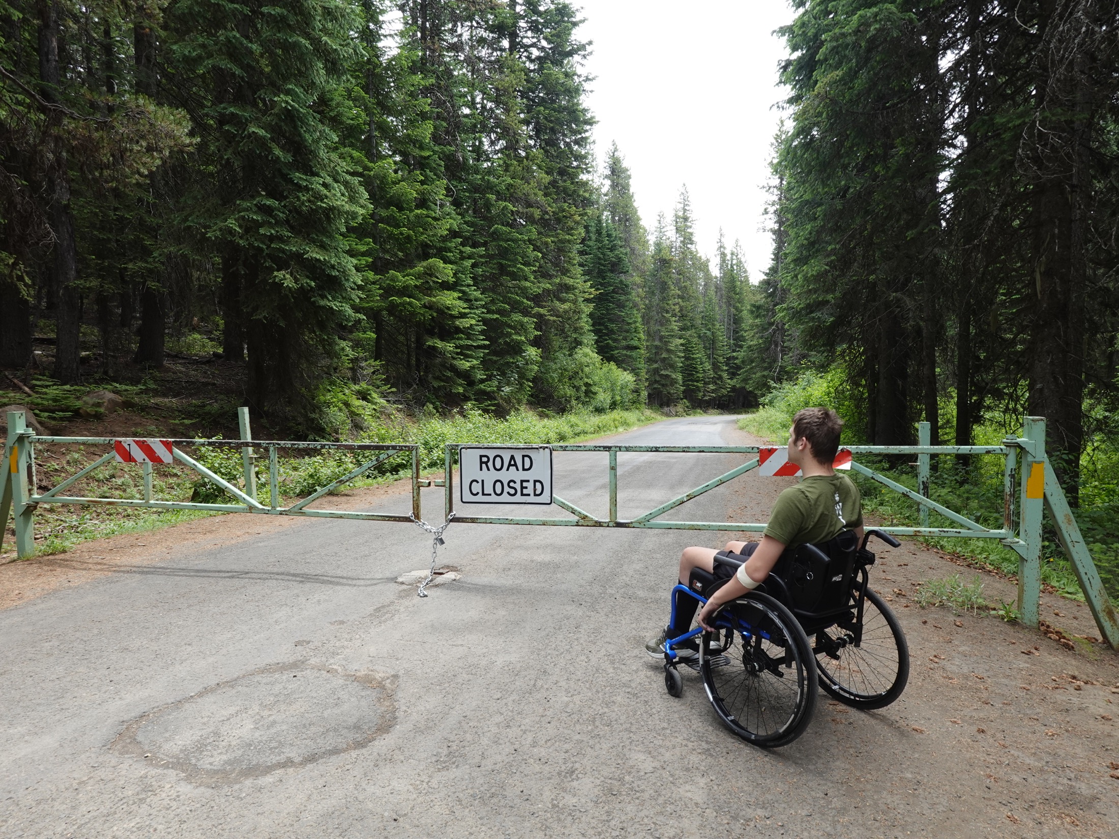 A wheelchair user facing a closed road gate in a forest